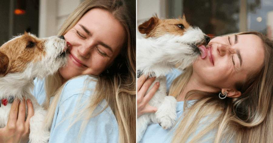 How Does Your Pets Feel About You, Friend Or Enemy？